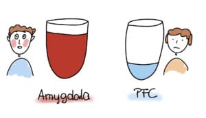 Eine hochaktive Amygdala aktiviert Stress und negative Gedanken, die Konzentration sinkt