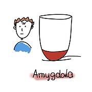 Ein gut gefülltes Energiefass sorgt für eine gute Konzentration