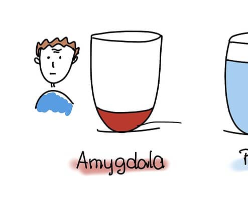 Ein gut gefülltes Energiefass sorgt für eine gute Konzentration